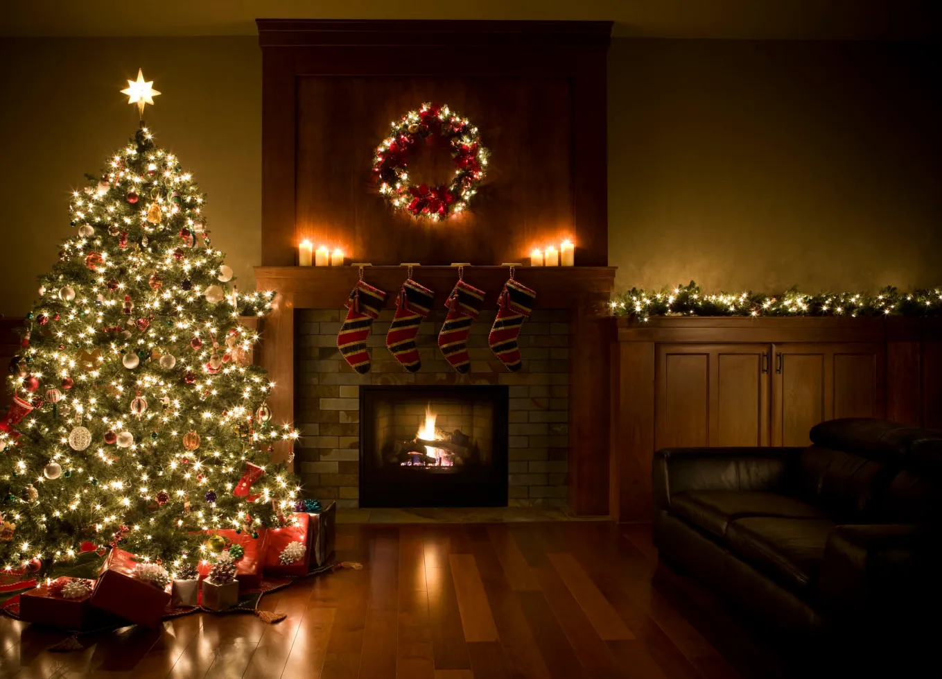 Pyramid International -Pyramid International holiday lights mistakes tree